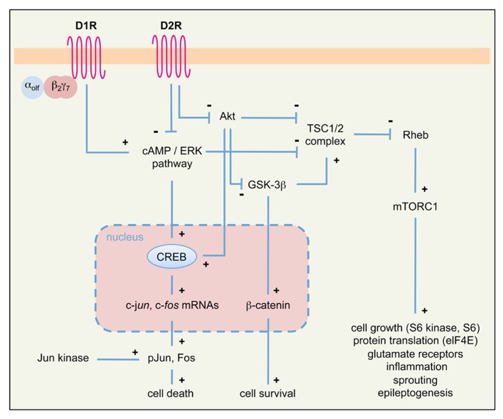 FIGURE 3