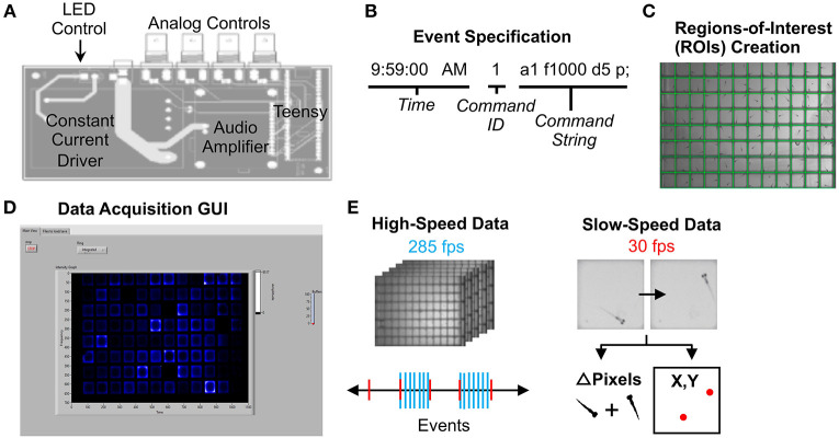 Figure 2