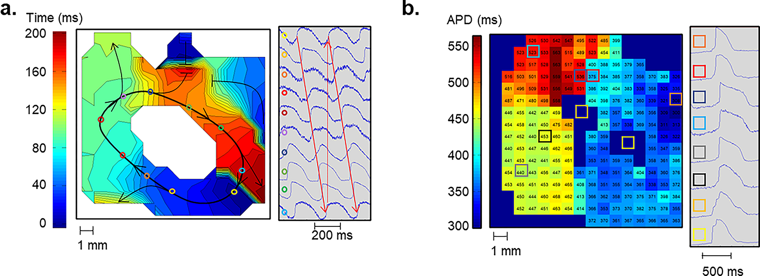 Figure 4: