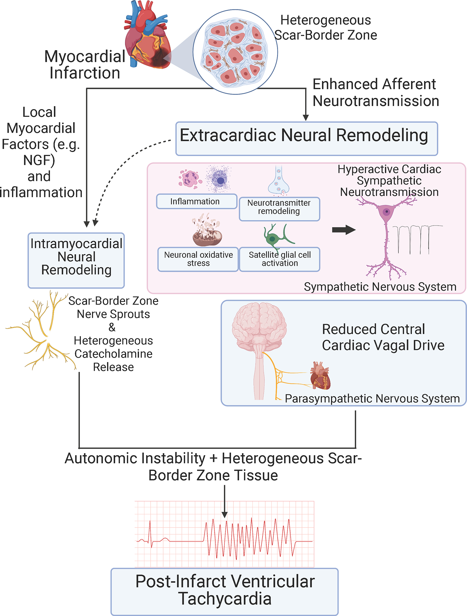 Figure 5: