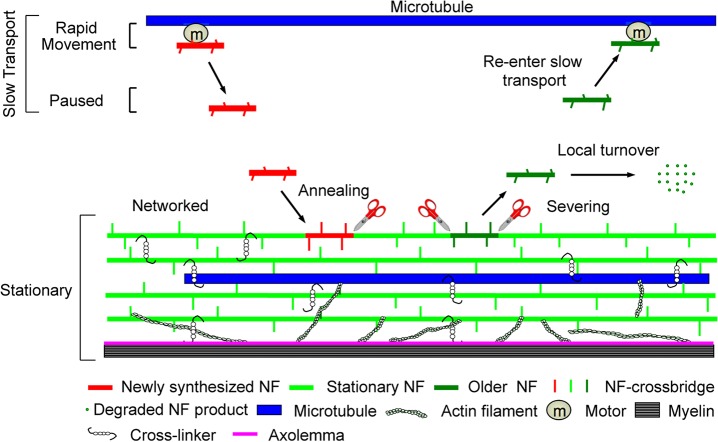 Fig 11