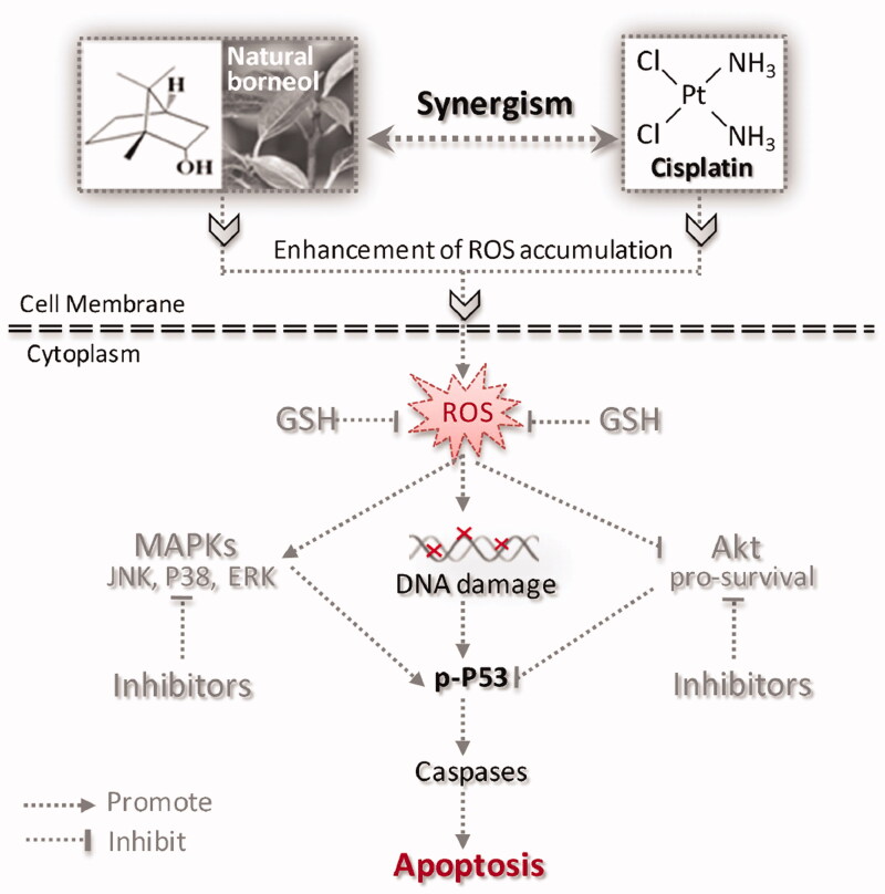 Figure 6.