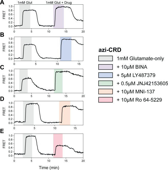 Figure 2—figure supplement 2.