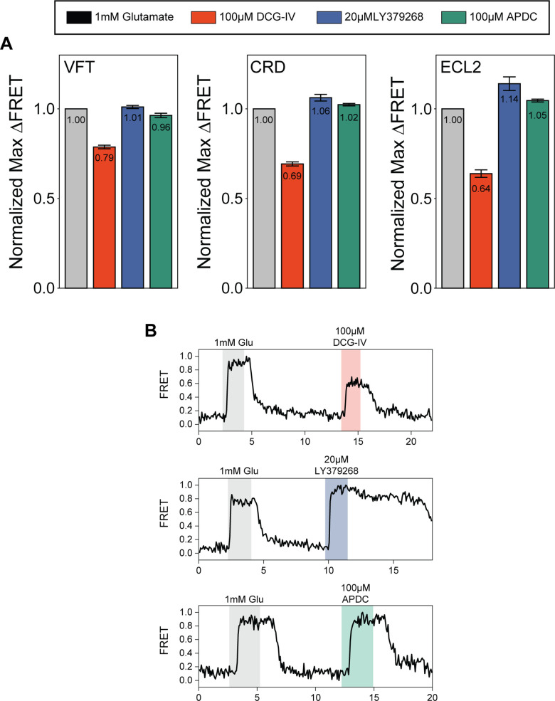 Figure 1—figure supplement 2.