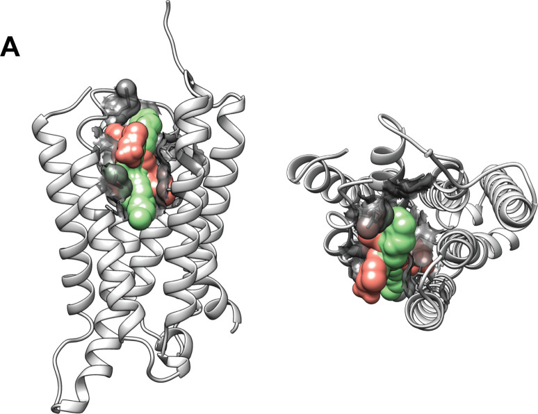 Figure 2—figure supplement 5.