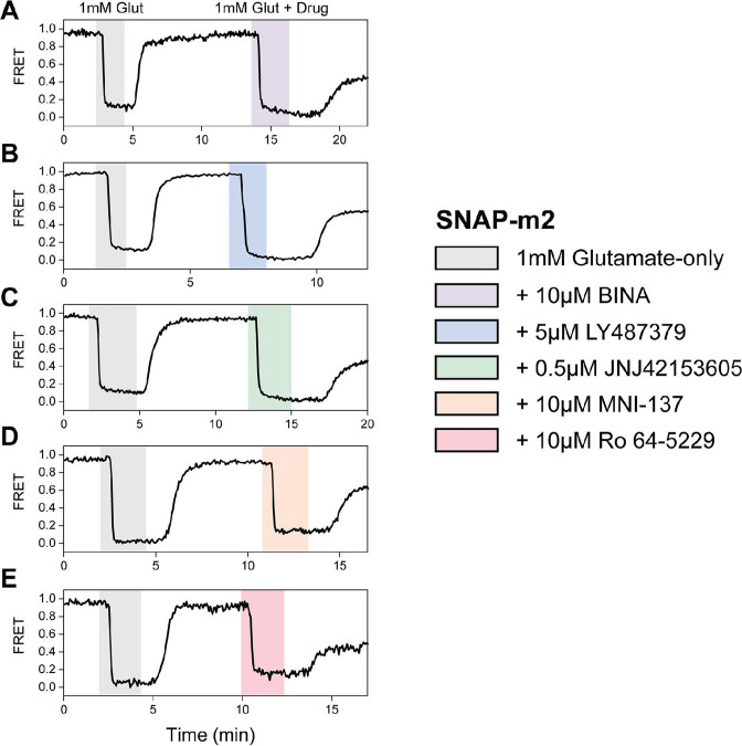 Figure 2—figure supplement 1.