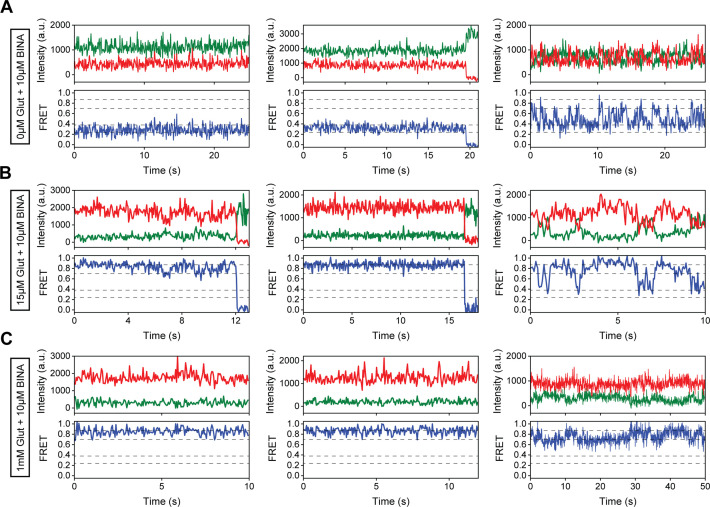 Figure 3—figure supplement 2.