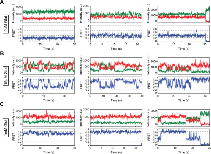 Figure 3—figure supplement 1.