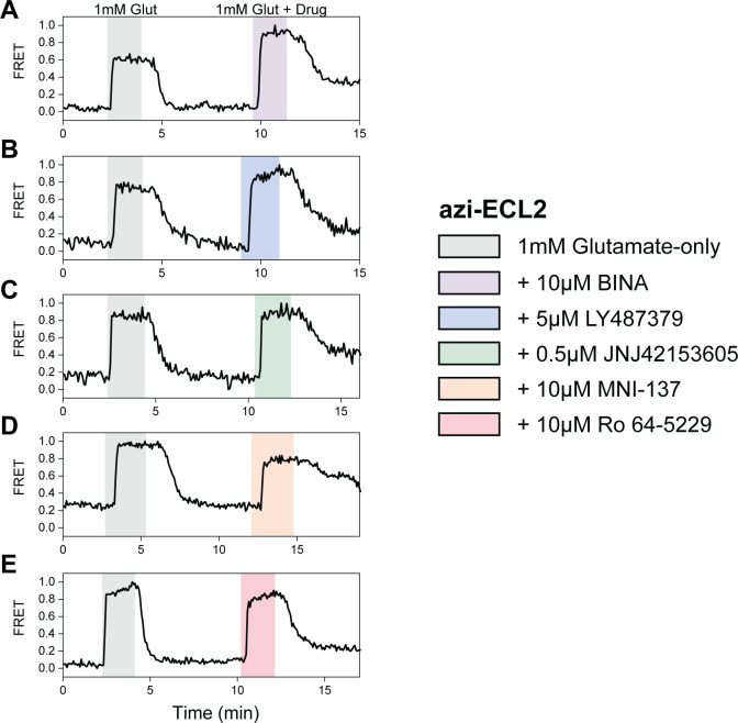 Figure 2—figure supplement 3.