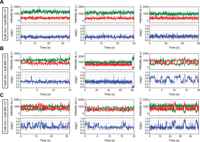 Figure 4—figure supplement 1.