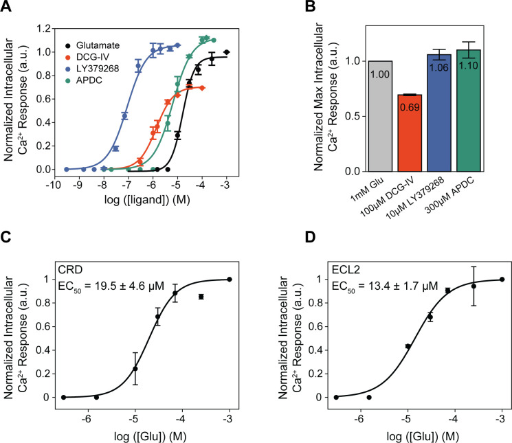 Figure 1—figure supplement 3.