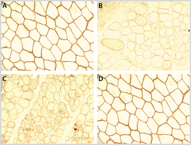 Figure 2-5.