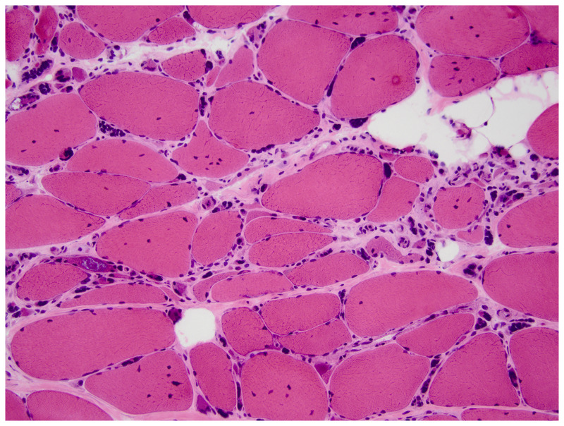 Figure 2-12.