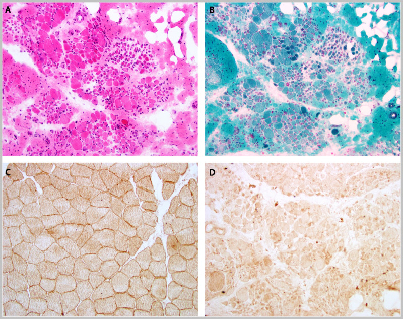 Figure 2-18.