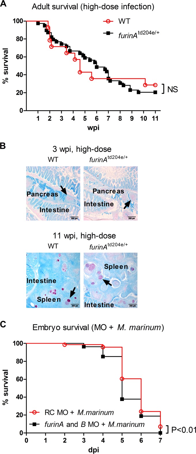 FIG 3