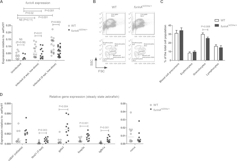 FIG 1