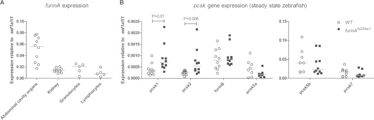 FIG 2