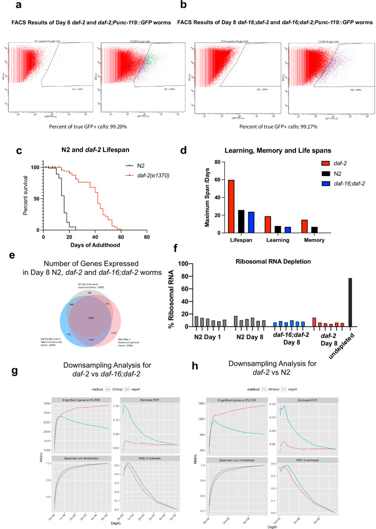 Figure 3—figure supplement 1.