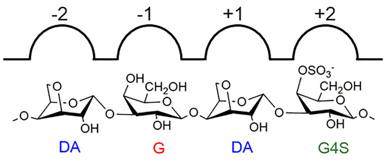 FIGURE 8