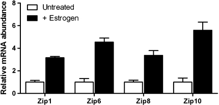 Fig. 4