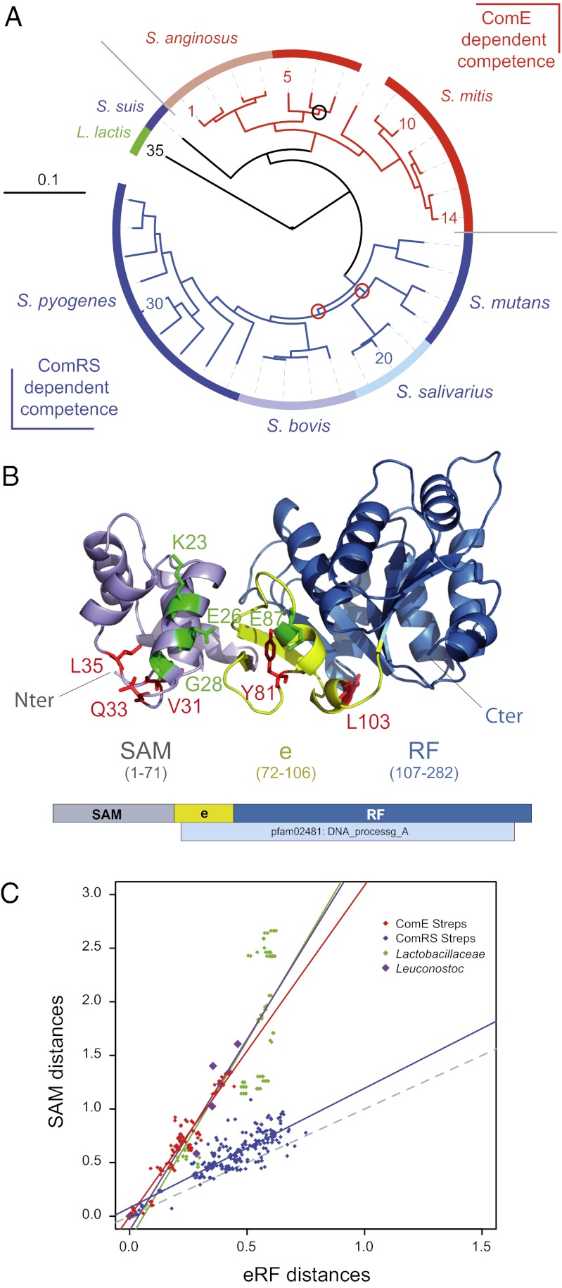 Fig. 5.