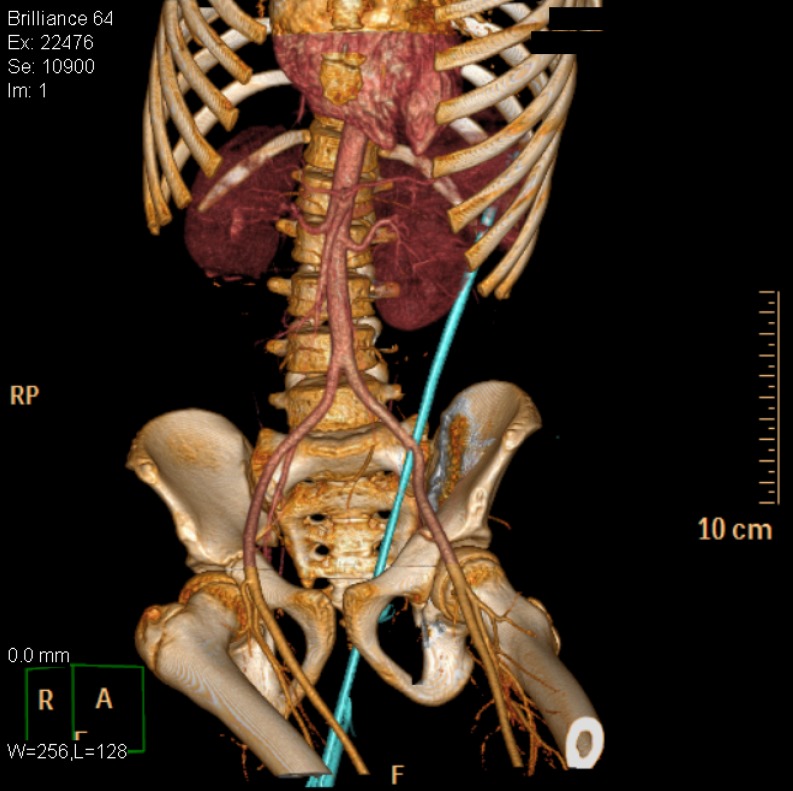 Fig. 2