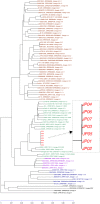 Fig 3