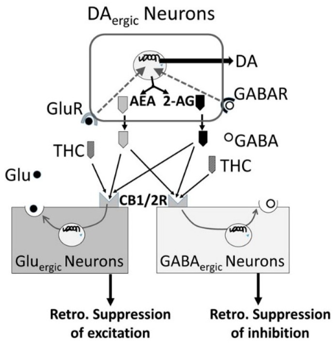 Figure 15