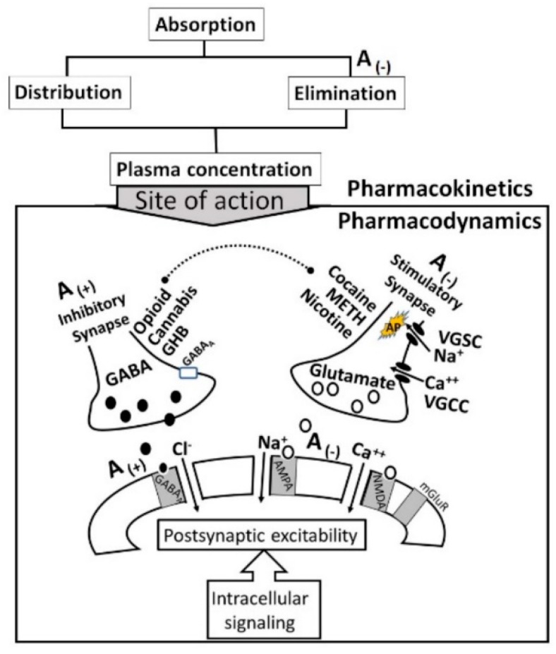 Figure 21