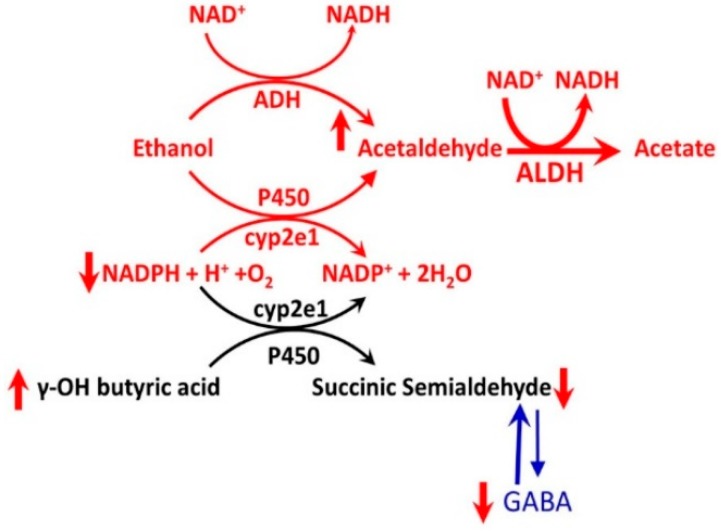 Figure 19