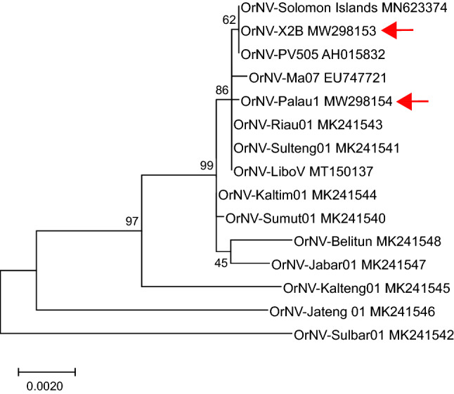 Figure 6