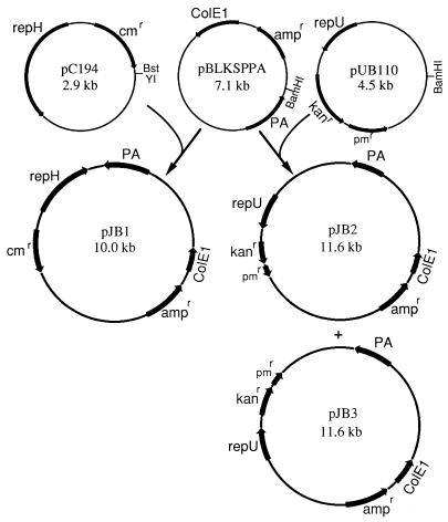 FIG. 1