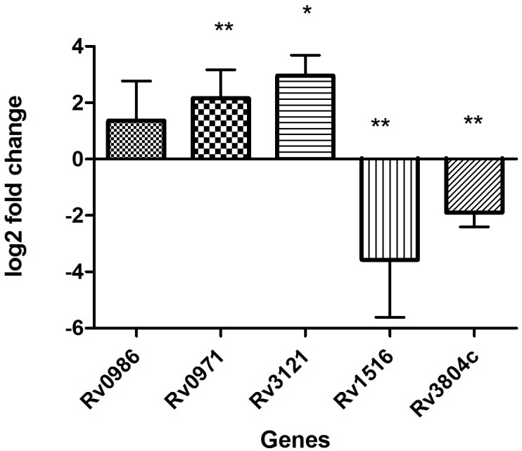 Fig 3