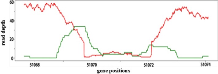 Fig. 2