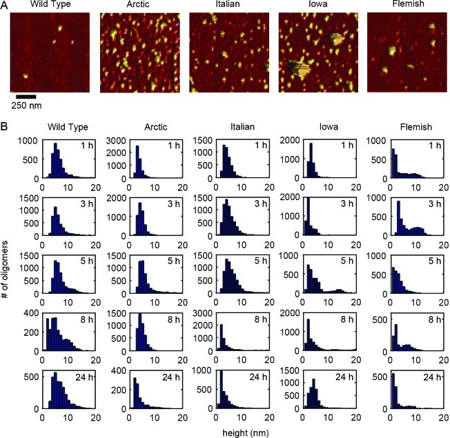 Figure 4