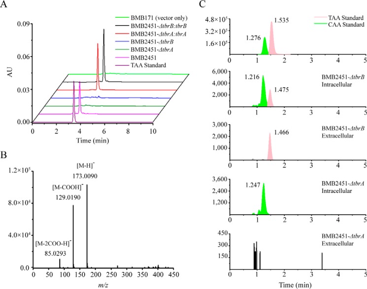 FIGURE 5.