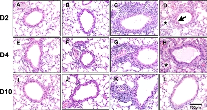 FIG. 7.