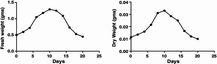 Fig. 3