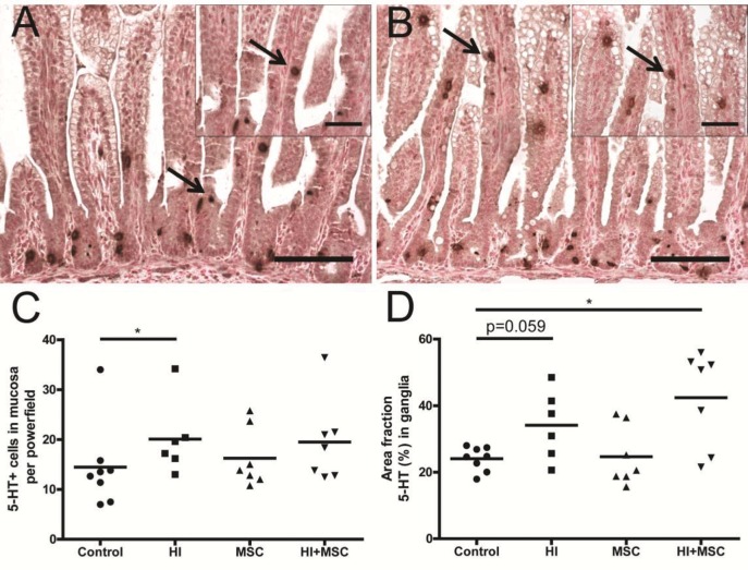 Figure 10.