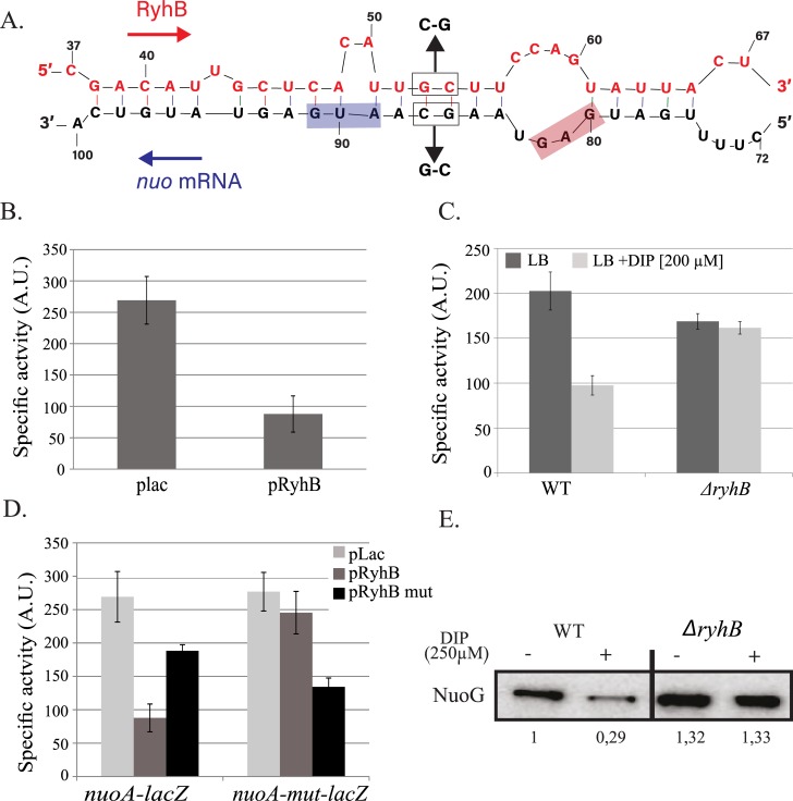 Fig 4