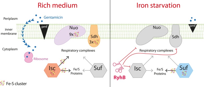 Fig 8