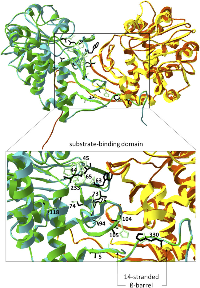 FIGURE 5