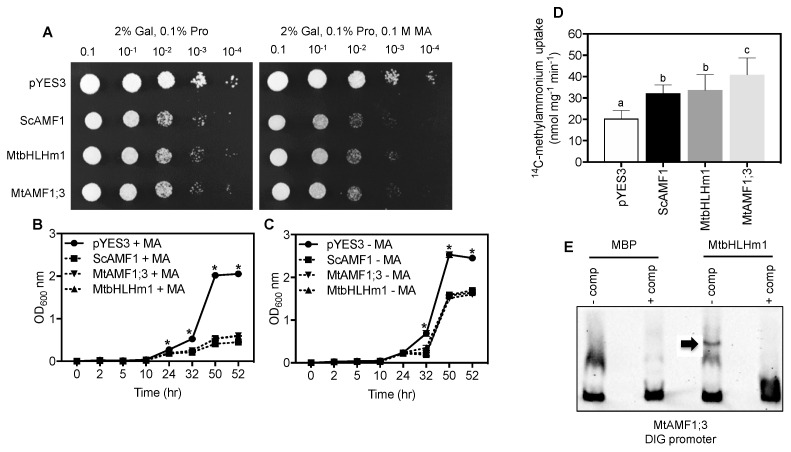 Figure 6