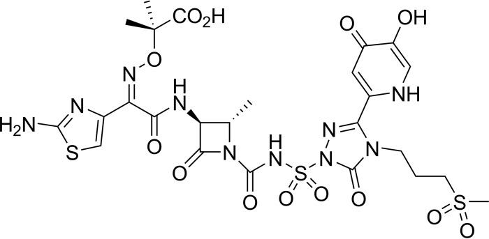 FIG 1