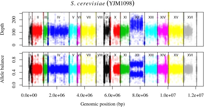 FIGURE 4