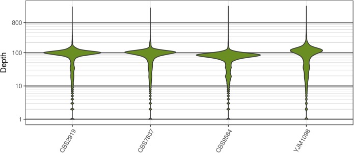 FIGURE 2