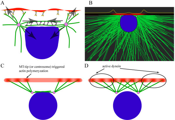 Figure 10.