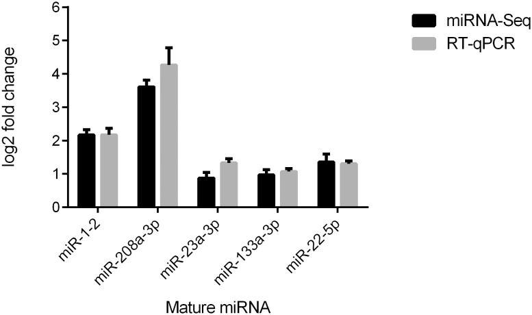 Figure 5