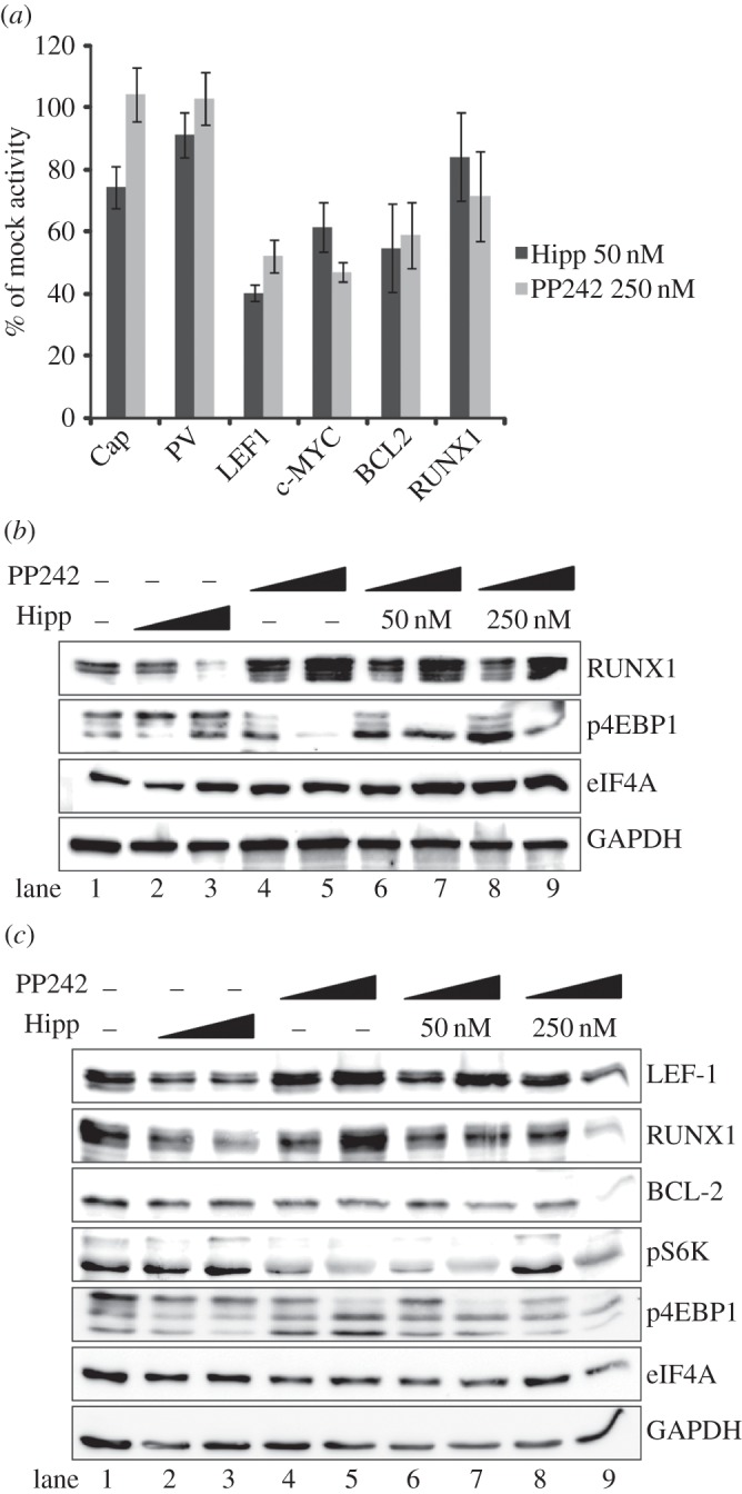 Figure 4.