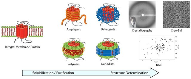 graphic file with name nihms-1658956-f0007.jpg